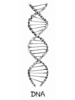 Cycology -Cycology 019 DNA Navy c28c31ad f4ea 401b 9dce ef5c83e468cb 927326